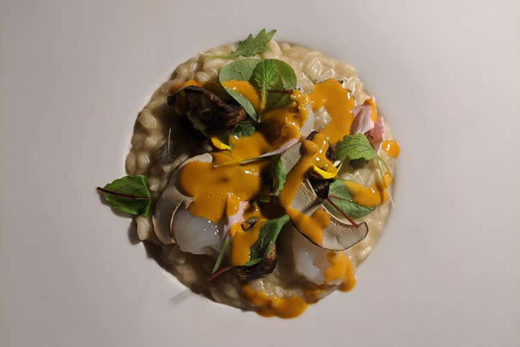 Riso porcini e scampi - Terrazza su Roma e dinner bond La resilienza di Imàgo ripagherà