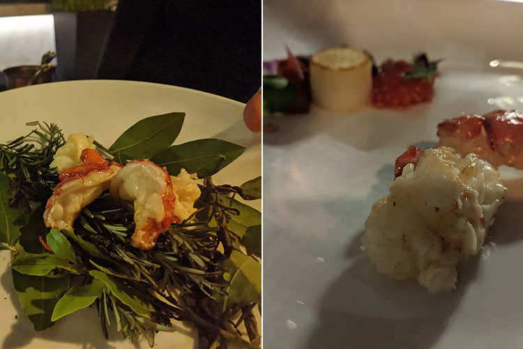 Astice alla catalana, dal servizio al piatto - Terrazza su Roma e dinner bond La resilienza di Imàgo ripagherà