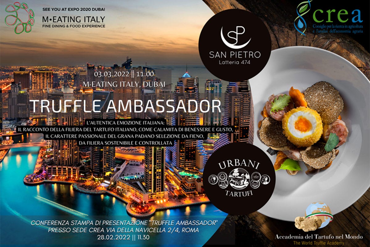 L'evento Truffle Ambassador in programma a Dubai Tartufo e Grana Padano: l'eccellenza italiana sbarca all'Expo