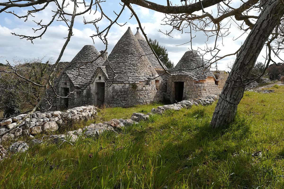 Immancabile la visita ai trulli (foto di Massimiliano Scaligeri) Ciclabile Puglia Immancabile la visita ai trulli (foto di Massimiliano Scaligeri) Ciclabile Puglia