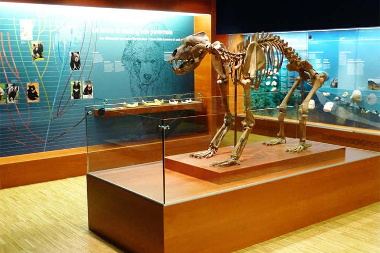 In Alta Badia si scia ma non solo fascino Dolomiti storia arte