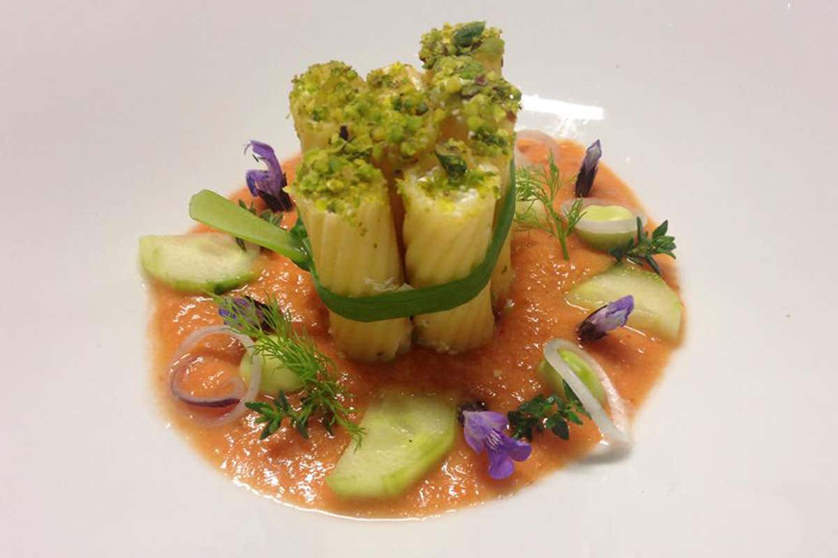 Insalata di tortiglioni su gazpacho andaluso Insalata di tortiglioni su gazpacho andaluso Insalata di tortiglioni su gazpacho andaluso Insalata di tortiglioni su gazpacho andaluso