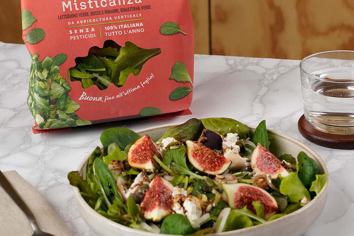 Insalata con misticanza, fichi, scalogno e Aceto Balsamico Tradizionale di Modena Dop Insalata con misticanza, fichi, scalogno e Aceto Balsamico Tradizionale di Modena Dop