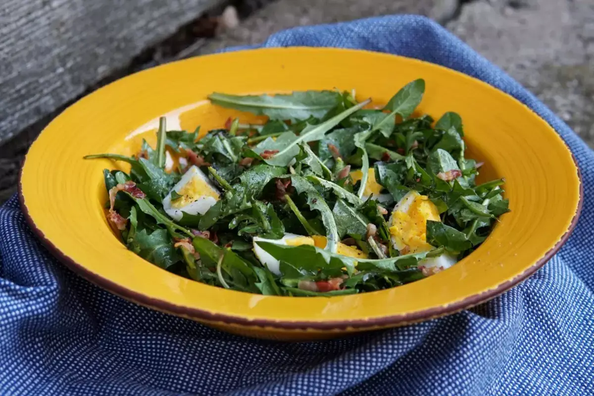 Insalata di zicoria. Foto: Davide Zambelli 