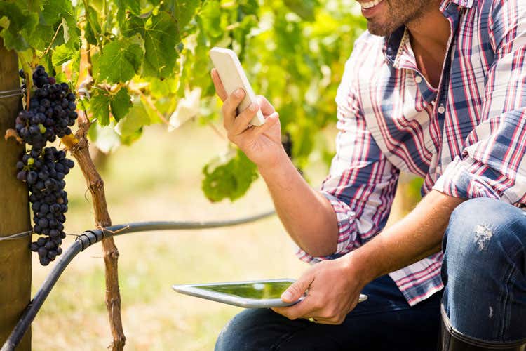(L'Internet delle cose nei vigneti In Italia, mercato da 2,8 miliardi di euro) (L'Internet delle cose nei vigneti In Italia, mercato da 2,8 miliardi di euro)