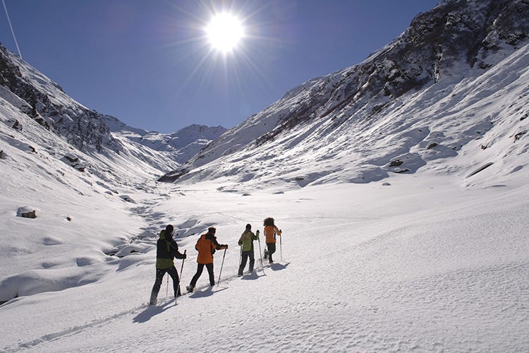 Pacchetti vacanza che includono escursioni e attività sportive sulla neve (Inverno sportivo in Alto Adige con i pacchetti di Vitalpina Hotels)