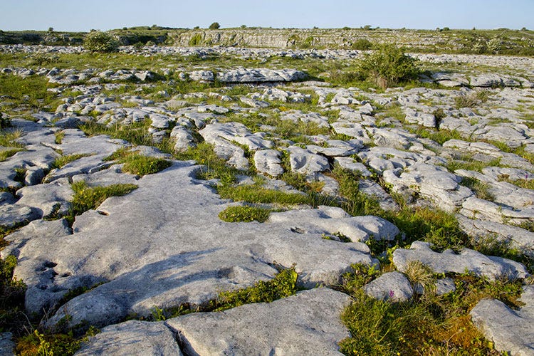 Burren  - L'Irlanda tra ostriche e formaggi Un viaggio nella Contea di Clare