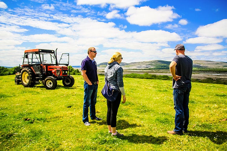 Burren Farm Experience - L'Irlanda tra ostriche e formaggi Un viaggio nella Contea di Clare