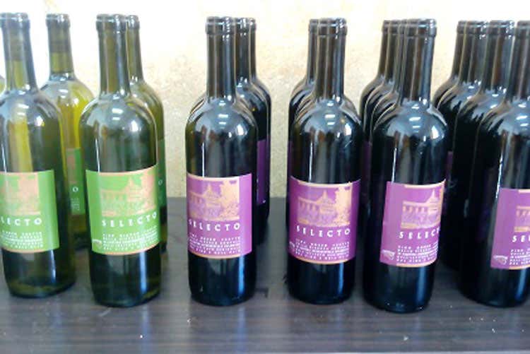 Irvo Sicilia, vitigni sperimentali In degustazione nove vini Irvo Sicilia, vitigni sperimentali In degustazione nove vini