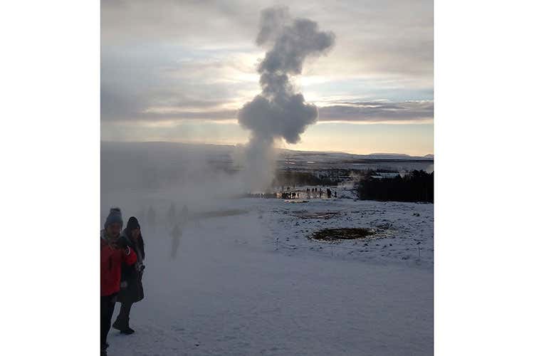 (Islanda, un bell'esempio di agricoltura Pomodori dal sapore forte  e robusto)
