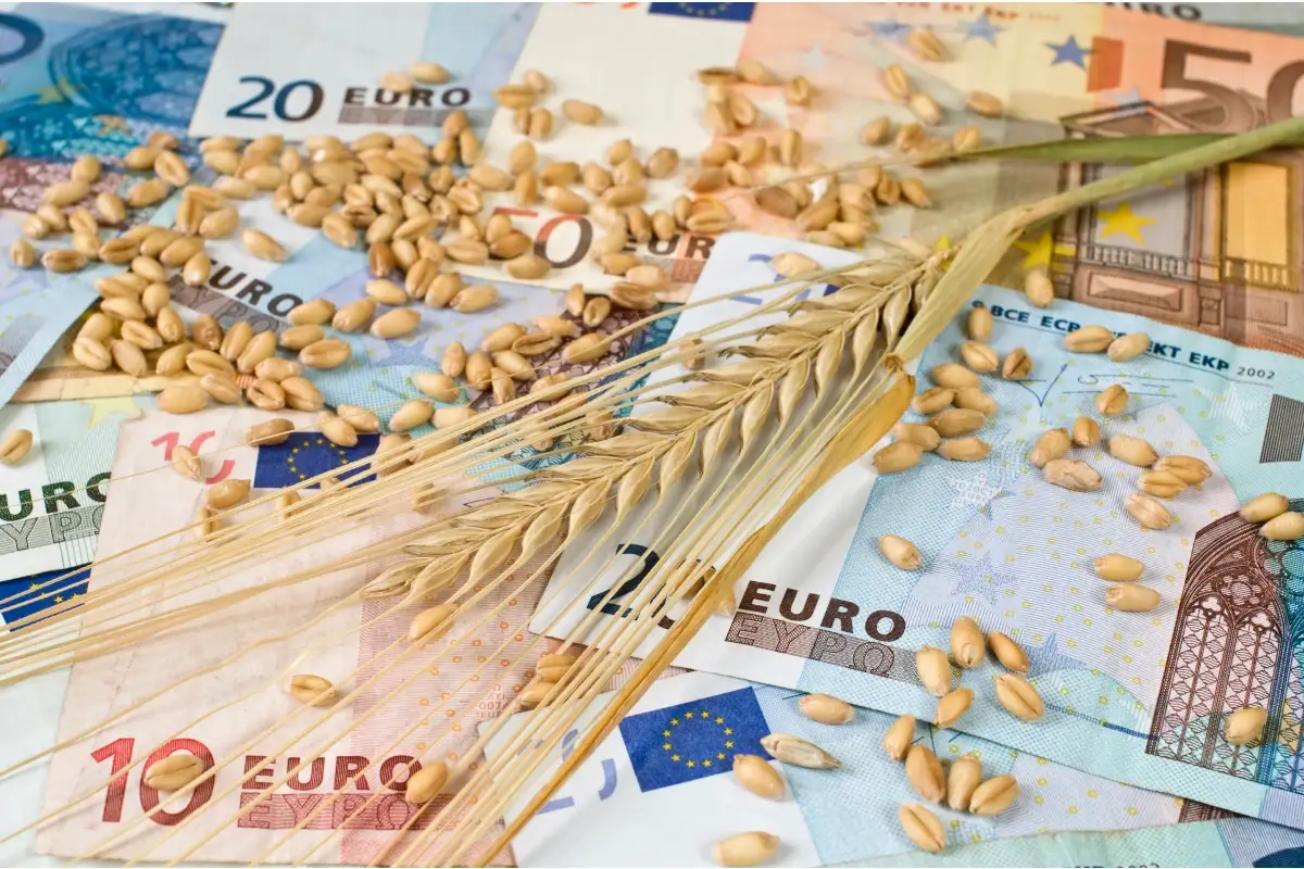 La previsione di crescita del Pil frenata dalla crisi del comparto alimentare Istati: il Pil cresce ancora, ma pesa la crisi del comparto alimentare