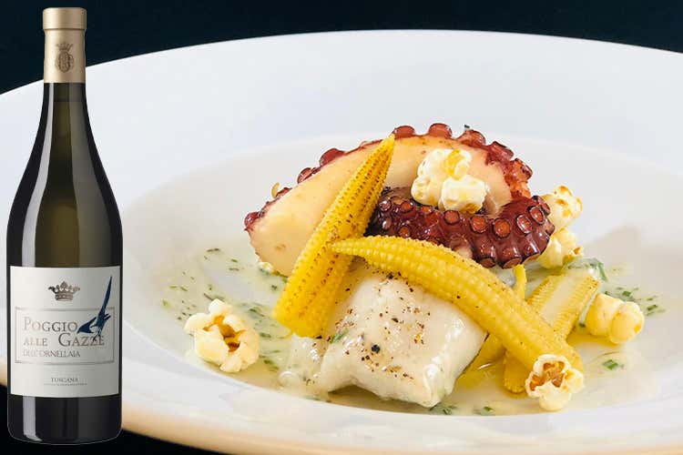 Polpo e insalata di mare in abbinamento a Poggio alle Gazze 2017 Tenuta dell'Ornellaia (L'Italia del vino La complessità della Toscana) Polpo e insalata di mare in abbinamento a Poggio alle Gazze 2017 Tenuta dell'Ornellaia (L'Italia del vino La complessità della Toscana)