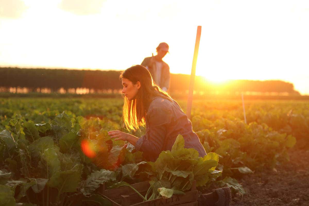 Italia Zuccheri e Matilde Vincenzi ancona insieme per il savoiardo italiano VincenzOvo
