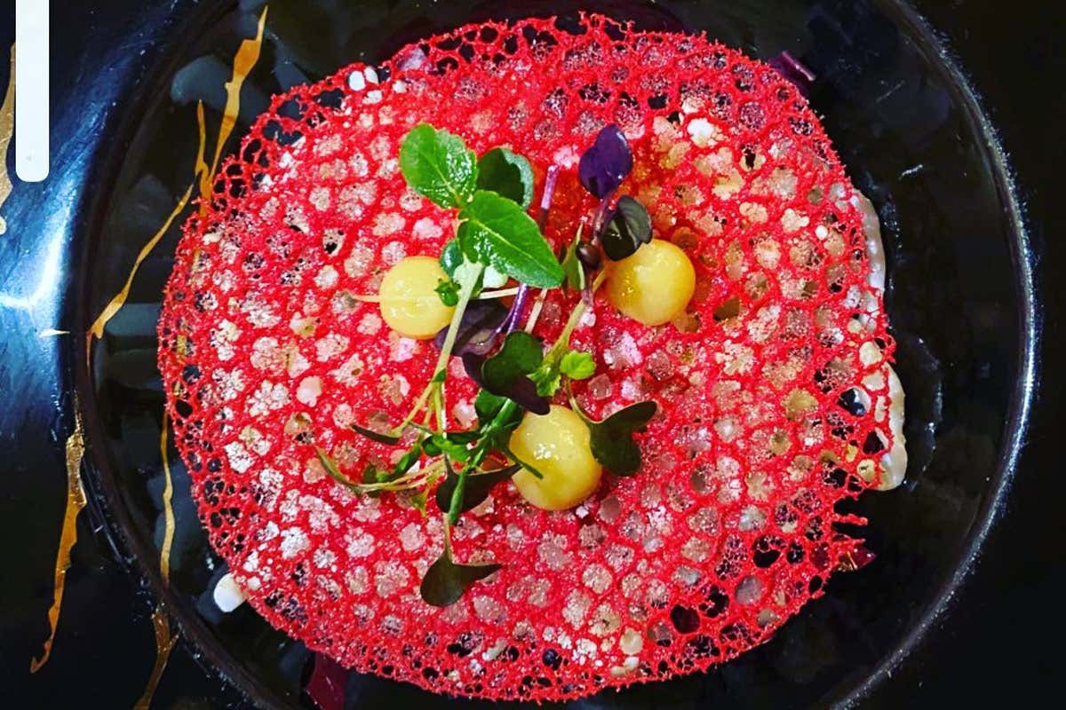 Il sapore dell'eccellenza da Nadia Vincenzi, regina della zuppa di pesce