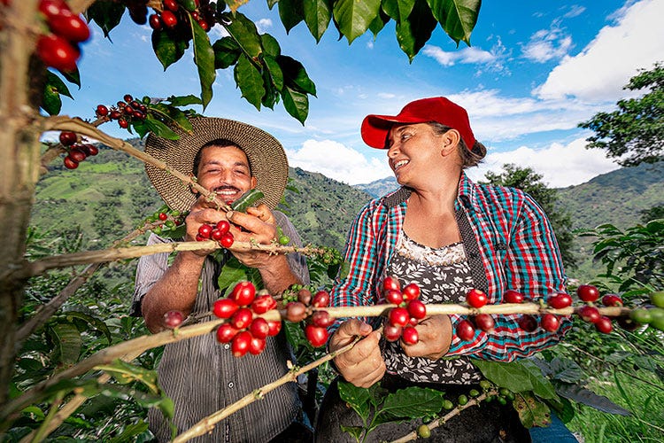 Julius Meinl ha lanciato il Colombian Heritage Project per supportare i coltivatori colombiani (Julius Meinl Sostenibilità ambientale e sociale)