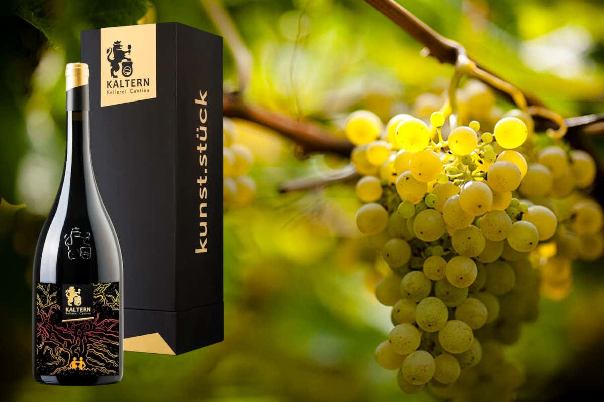 Cantina Kaltern: celebra 125 anni con il Kunst.stück Vernatsch 2023 Cantina Kaltern: celebra 125 anni con il Kunst.stück Vernatsch 2023