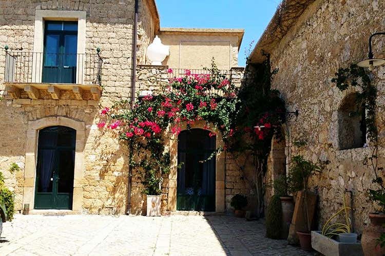 (Kalpis 2015 di Pietracava Cabernet Sauvignon ricco di personalità) (Kalpis 2015 di Pietracava Cabernet Sauvignon ricco di personalità)