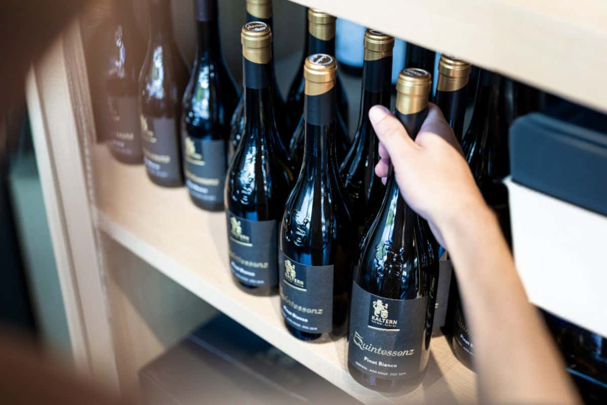 Quintessenz, la linea di vini che esprime l’anima autentica del lago di Caldaro Quintessenz, la linea di vini che esprime l’anima autentica del lago di Caldaro