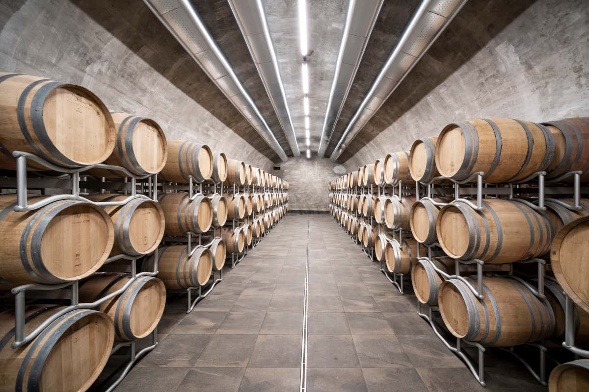 Quintessenz, la linea di vini che esprime l’anima autentica del lago di Caldaro Quintessenz, la linea di vini che esprime l’anima autentica del lago di Caldaro