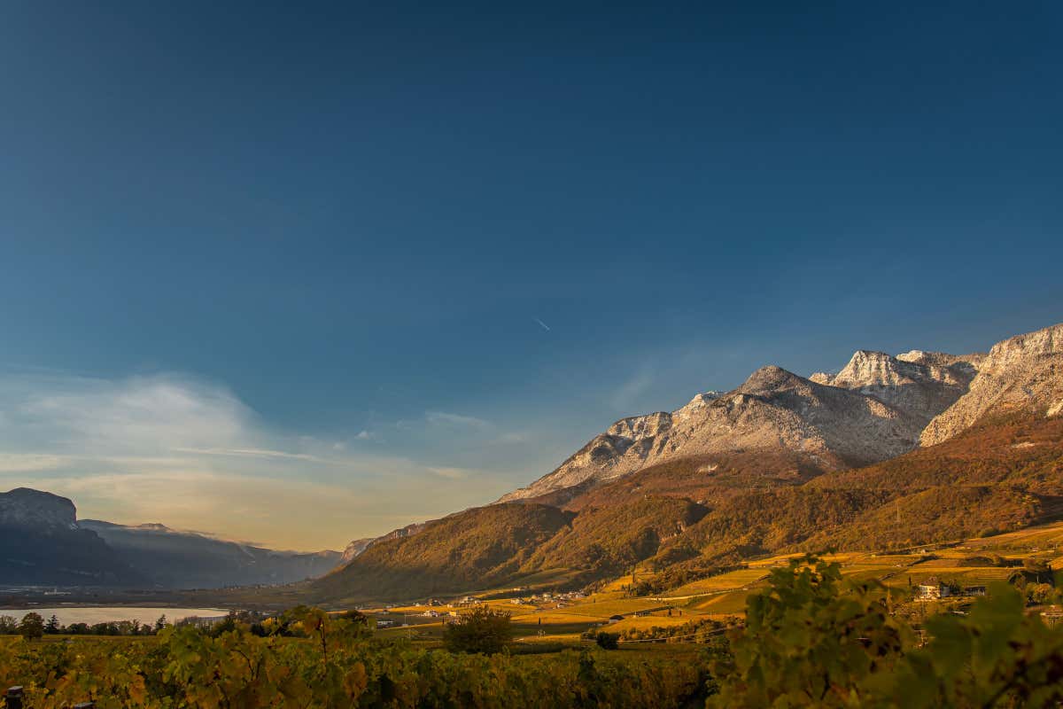 Quintessenz, la linea di vini che esprime l’anima autentica del lago di Caldaro Quintessenz, la linea di vini che esprime l’anima autentica del lago di Caldaro
