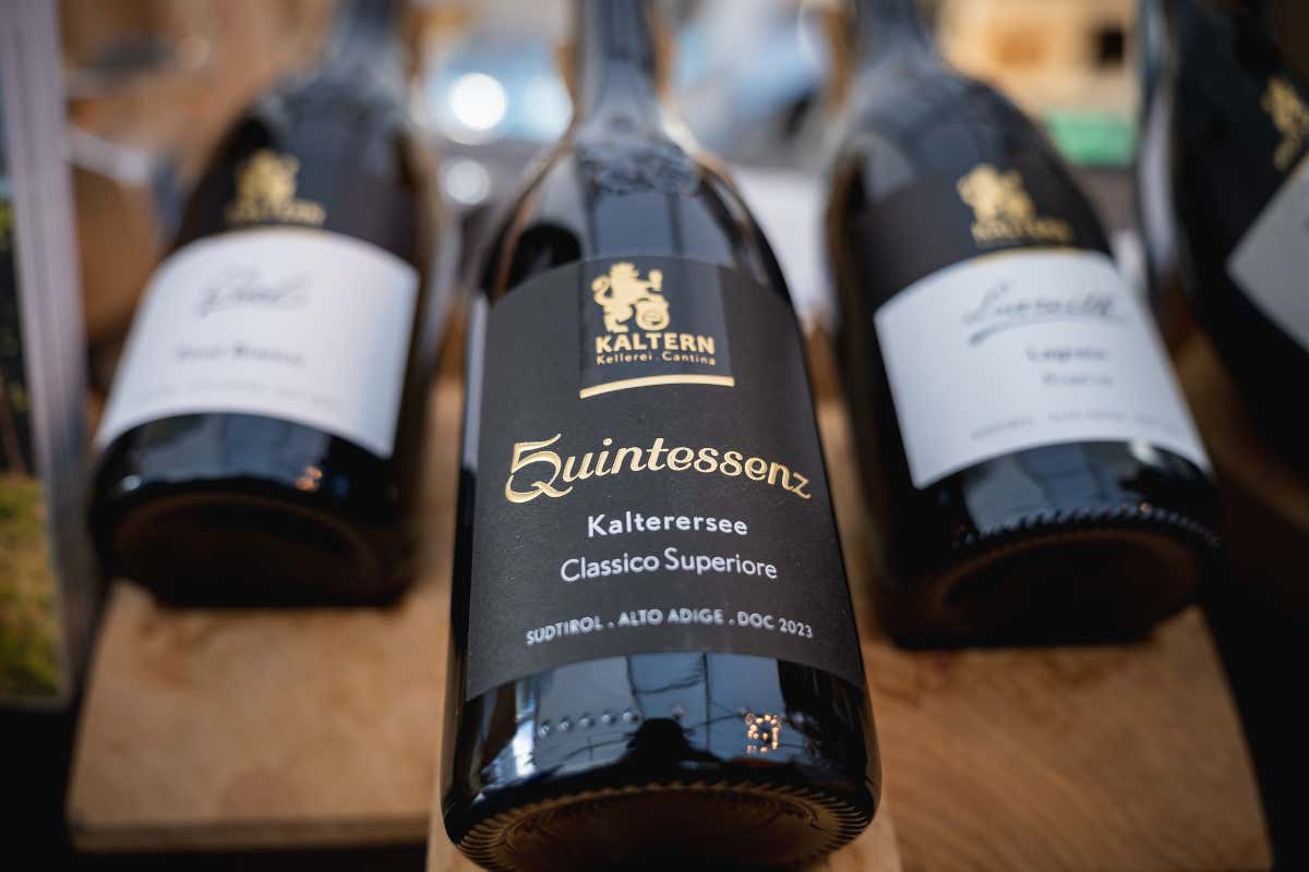 Quintessenz, la linea di vini che esprime l’anima autentica del lago di Caldaro