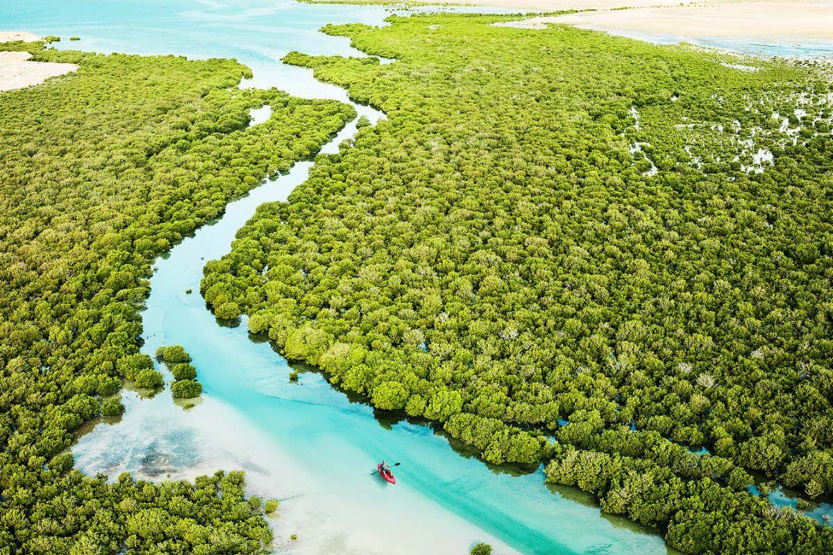 Kayaking a Purple Island Mai provato il desert detox? Ecco le esperienze uniche del Qatar