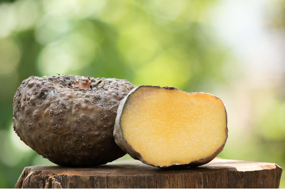 I motivi per cui dovresti iniziare a mangiare il Konjac I motivi per cui dovresti iniziare a mangiare il Konjac