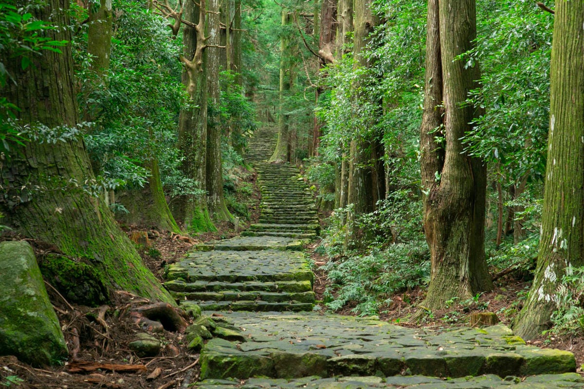 I Kumano Kodo sono una serie di percorsi all'interno dei boschi del Giappone Giappone cinque luoghi per vivere esperienze rigeneranti nella natura
