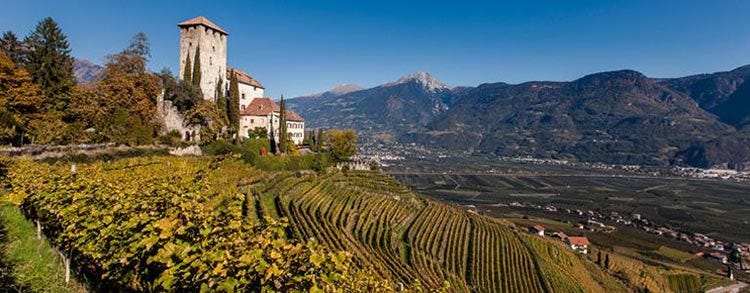 Merano(L’Alto Adige vitivinicolo Un piccolo territorio, una grande varietà)