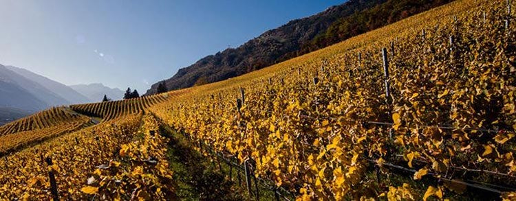 Val Venosta (L’Alto Adige vitivinicolo Un piccolo territorio, una grande varietà)