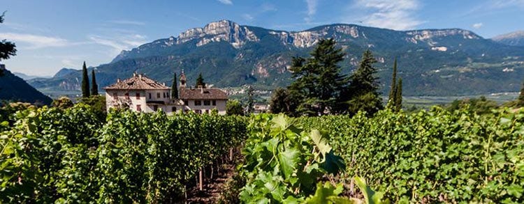 Valle dell'Adige (L’Alto Adige vitivinicolo Un piccolo territorio, una grande varietà)