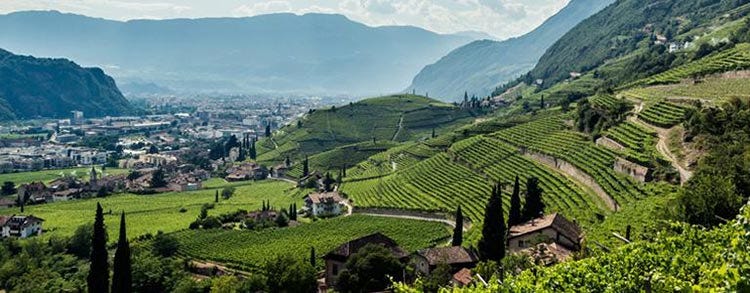 Bolzano (L’Alto Adige vitivinicolo Un piccolo territorio, una grande varietà)