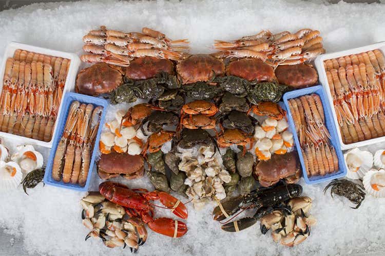 Carne e pesce nell'Irlanda del Nord Tracciabilit&agrave; e qualit&agrave; i punti di forza