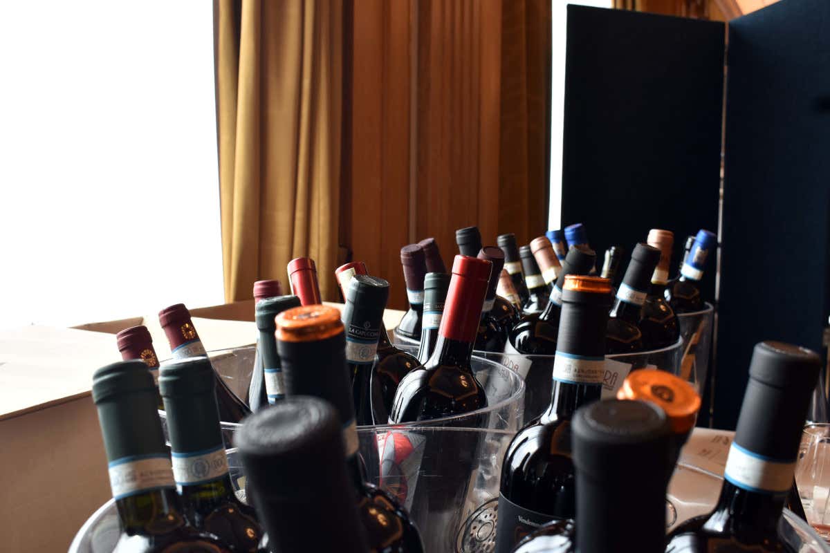 Nebbiolo e sorprese autoctone: viaggio tra i vini dell'Alto Piemonte Nebbiolo e sorprese autoctone: viaggio tra i vini dell'Alto Piemonte