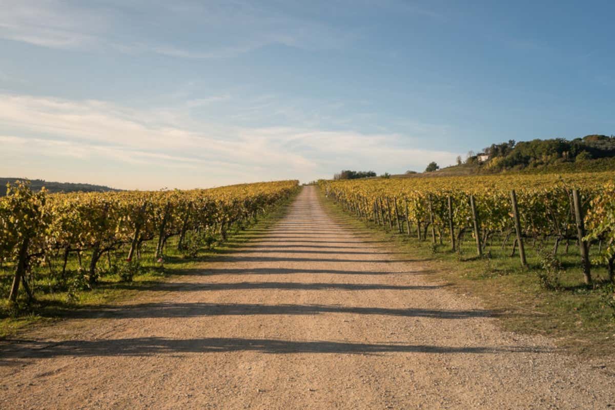 Tre cantine toscane a confronto nella Capitale