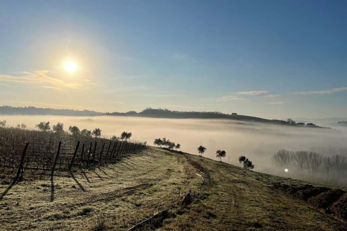 Tre cantine toscane a confronto nella Capitale