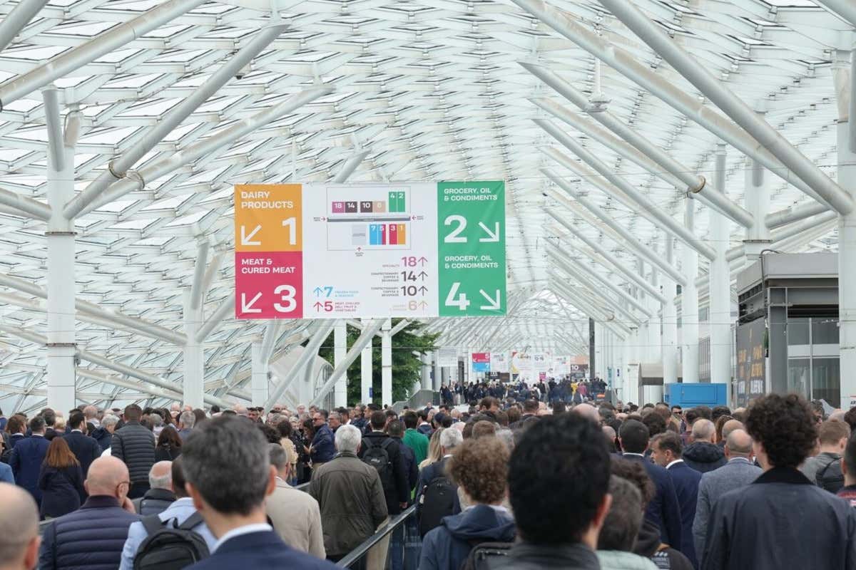 Tuttofood 2026 cresce del 15%: export e biologico guidano la nuova edizione Tuttofood 2026 cresce del 15%: export e biologico guidano la nuova edizione