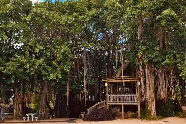 Casa del Rum Banyan Tree Mauritius, una cucina con l’Italia nel cuore