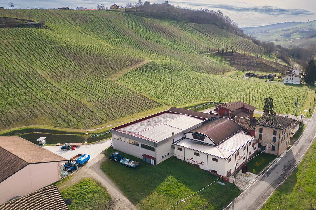 Monsupello, giro di boa a 130 anni: nuova etichetta per Carlo Boatti e nuovo enologo