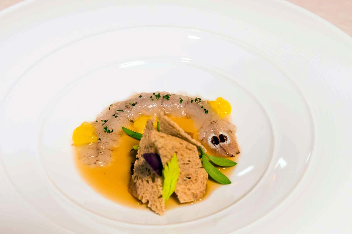 Cicala e lumaca - foto Giuseppe Di Mauro Cicala e lumaca