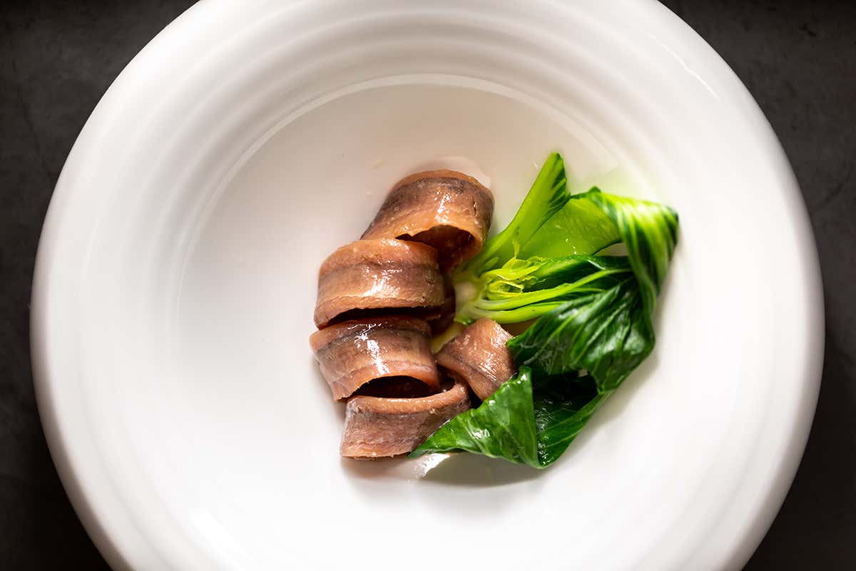 Reserva Vintage, l’esclusiva limited edition delle Acciughe del Cantabrico