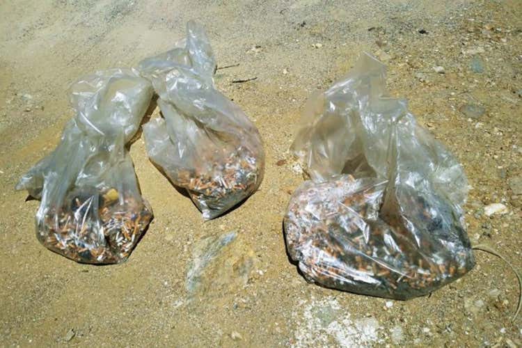 I mozziconi raccolti a Stintino (La Pelosa smoke free 20mila cicche raccolte in due giorni)