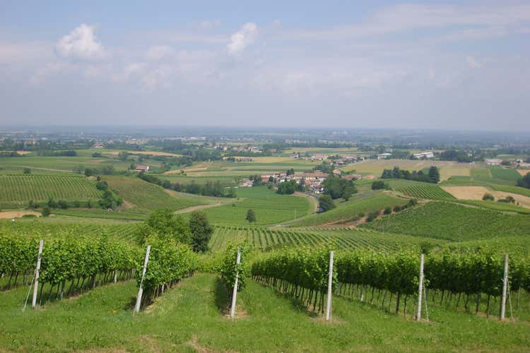 La Versa riparte dopo il fallimento  Intervengono Terre d'Oltrepò e Cavit