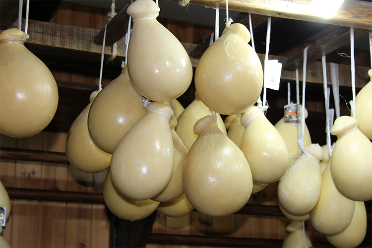 La provola dei Nebrodi punta alla Dop Verticale di 5 stagionature a Taormina La provola dei Nebrodi punta alla Dop Verticale di 5 stagionature a Taormina