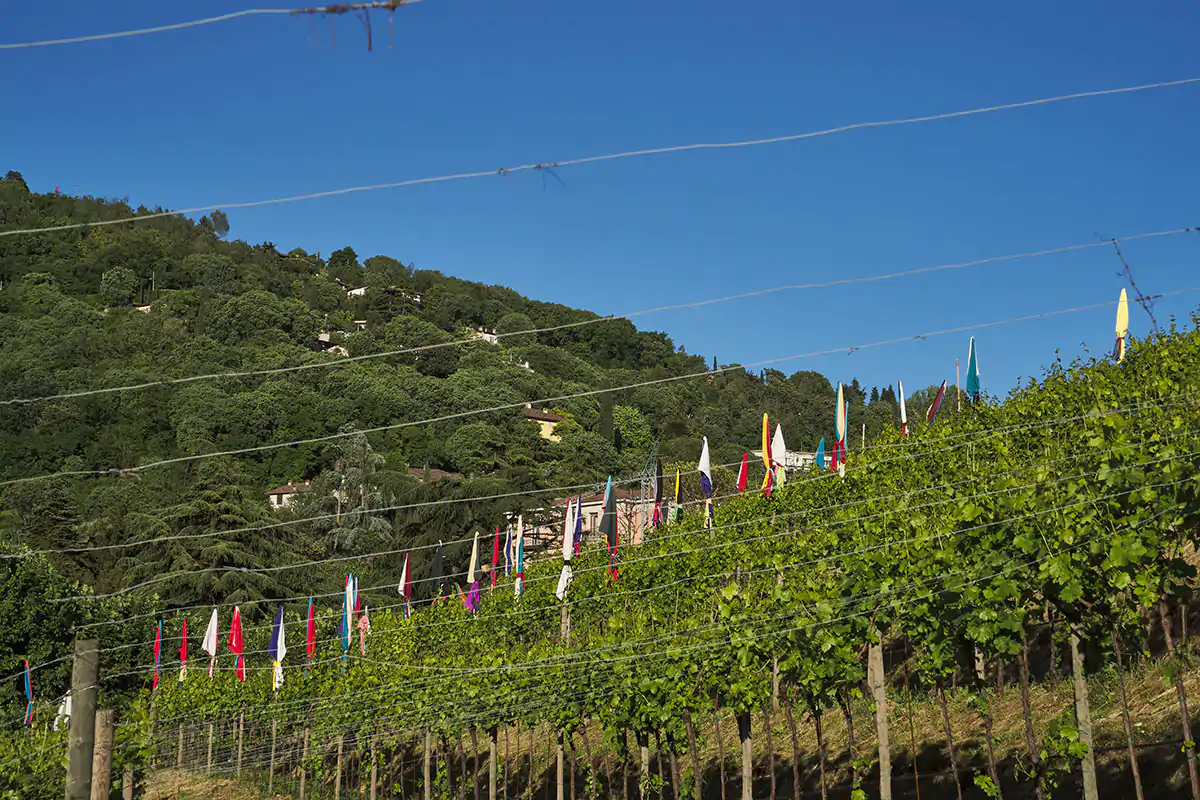 L'opera di Pascale Marthine Tayou con gli ombrelloni chiusi Una spiaggia nel vigneto&nbsp; Ombrelloni a pergola a Brescia