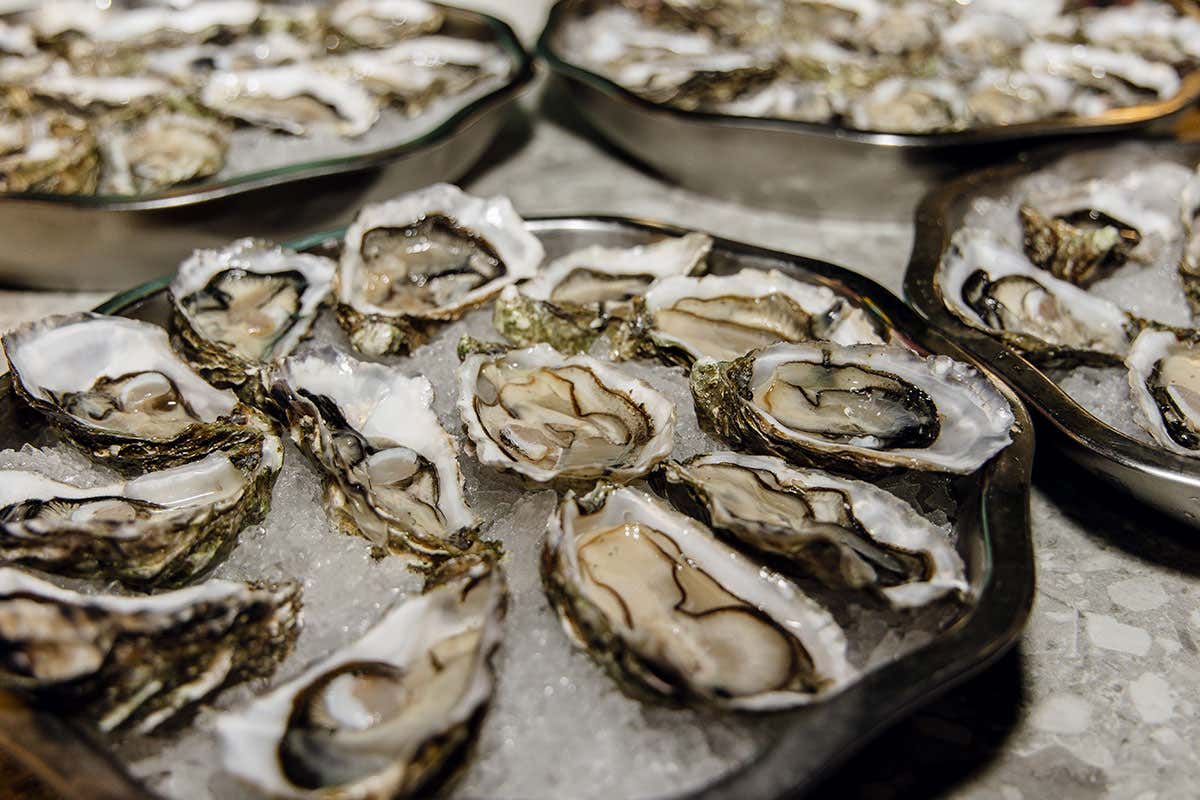 La Caprese di Mozzo, da bar a ristorante di lusso: 50 anni di pesce come a Capri