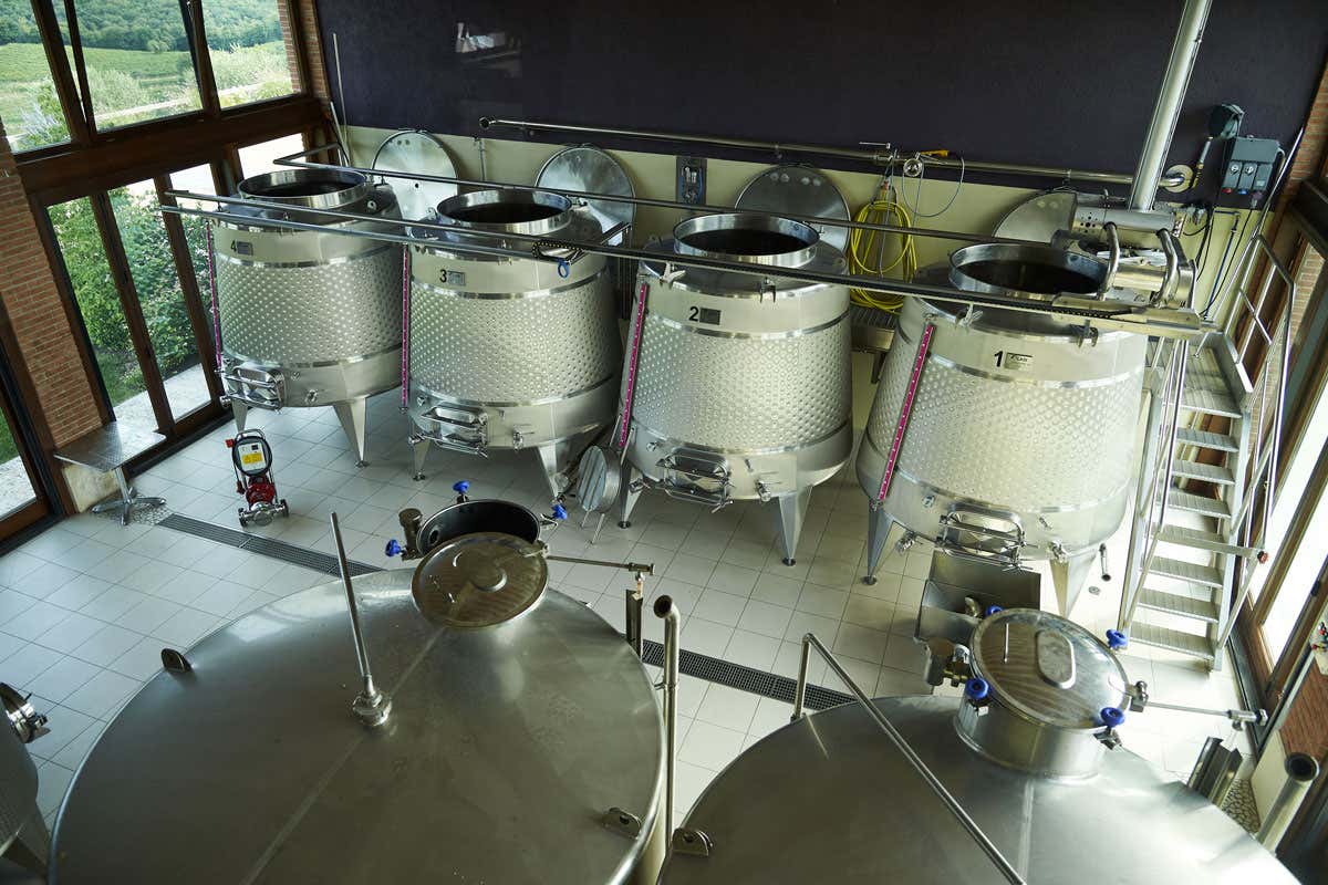 La Giuva, un equilibrio perfetto tra modernità e rispetto per le radici del vino