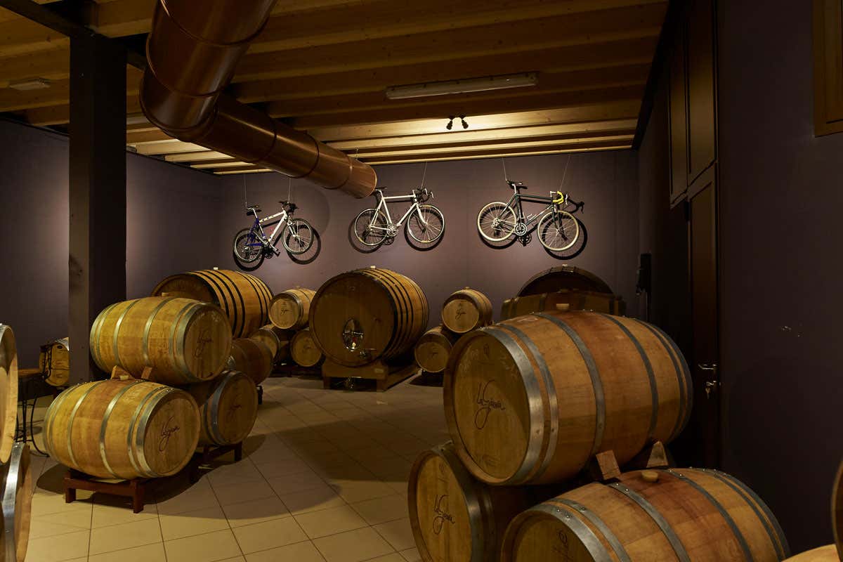 La Giuva, un equilibrio perfetto tra modernità e rispetto per le radici del vino