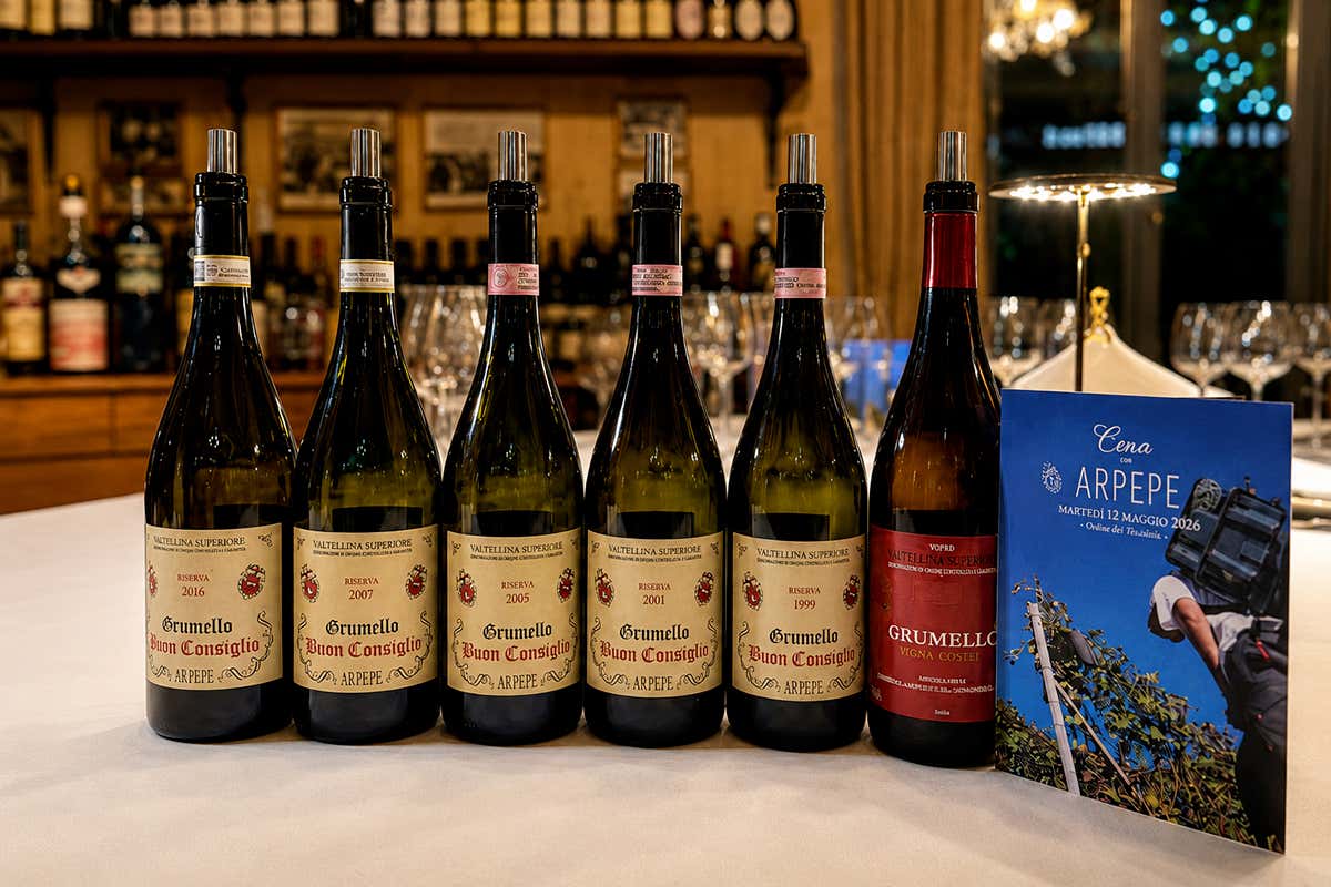 Il vino di montagna che a trent’anni mette in crisi molti rossi più famosi Il vino di montagna che a trent’anni mette in crisi molti rossi più famosi