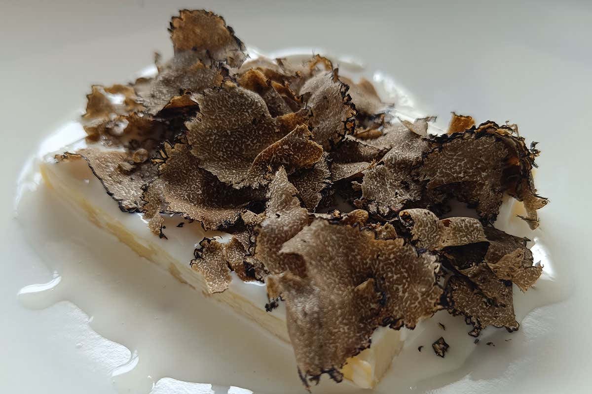 Ristorante MaMe: aria nuova in Darsena a Viareggio